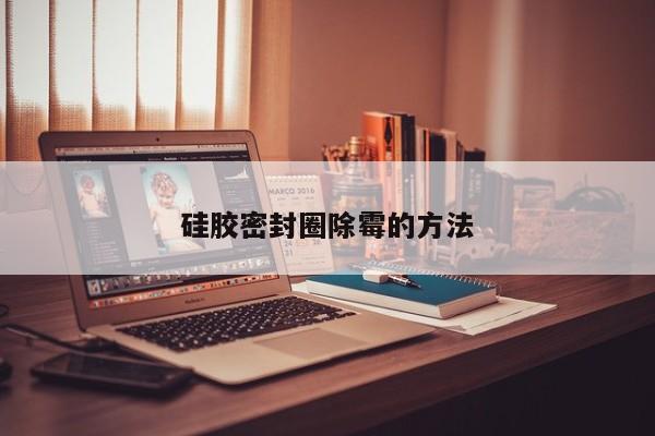硅胶密封圈除霉的方法